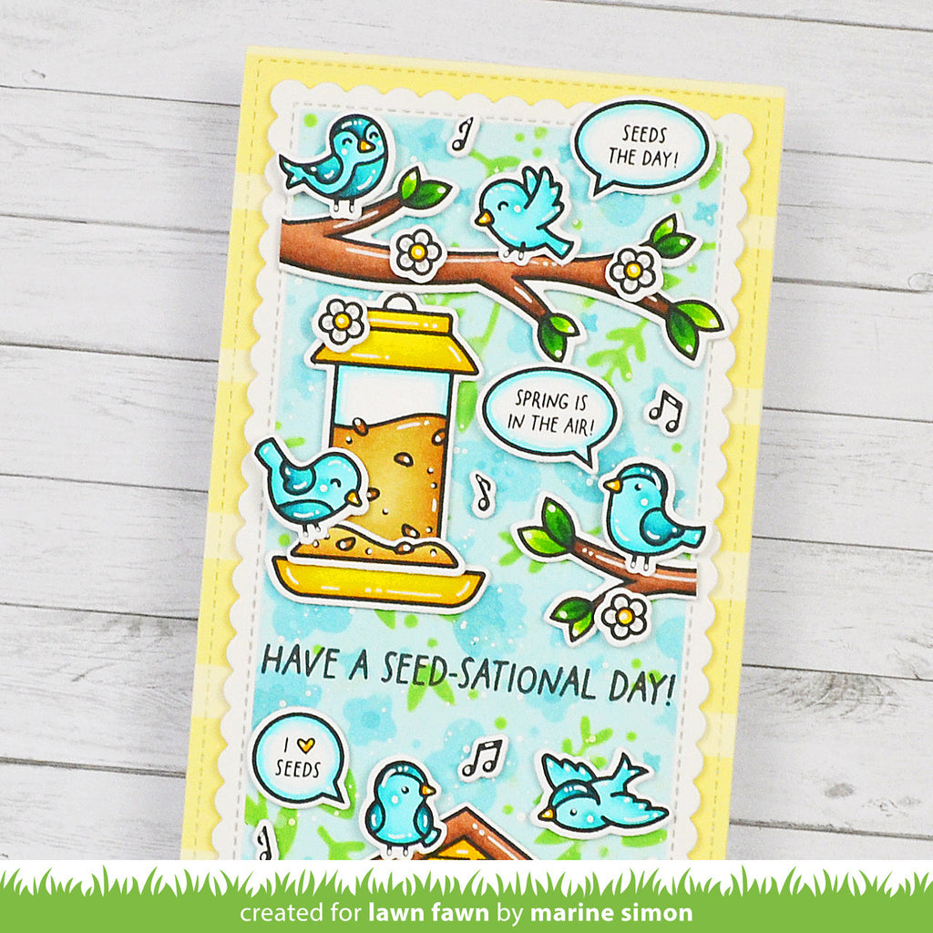 backyard bird feeder