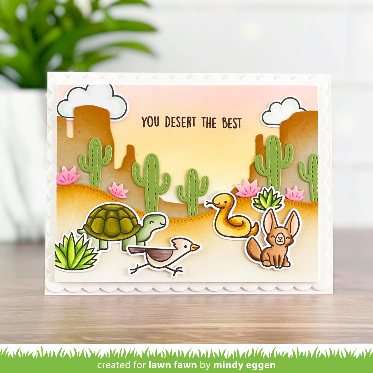 critters in the desert
