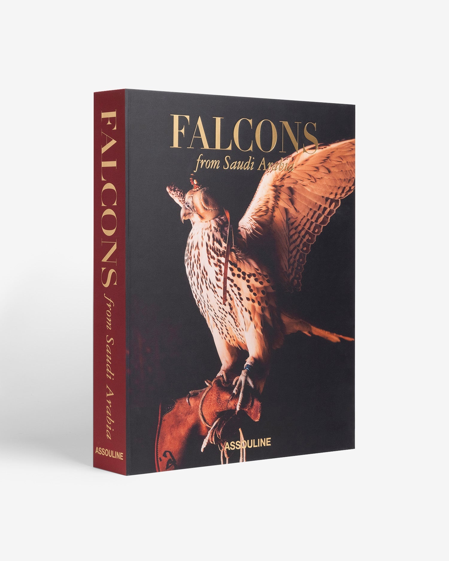 Falcons from Saudi Arabia