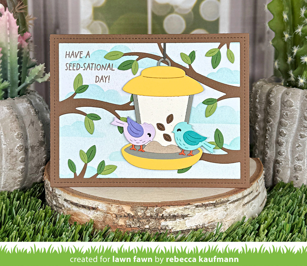 backyard bird feeder