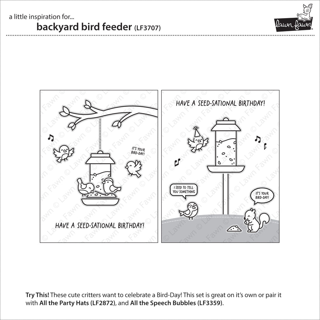 backyard bird feeder