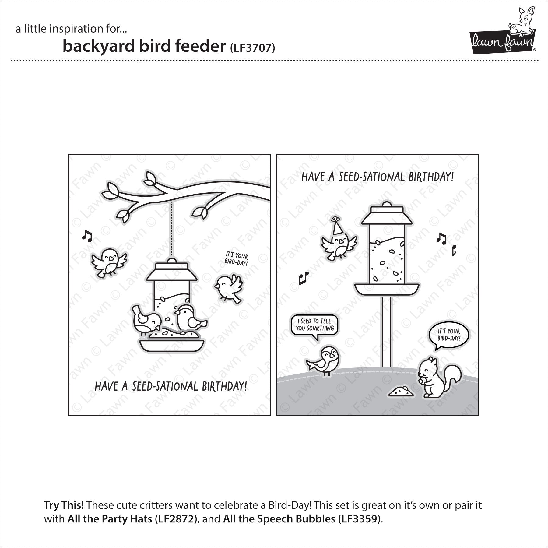 backyard bird feeder