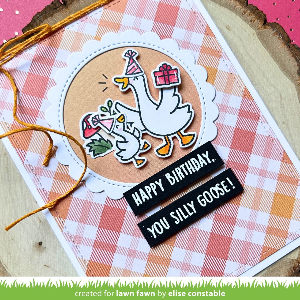 silly goose!